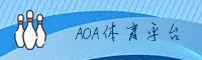 AOA体育官方网站